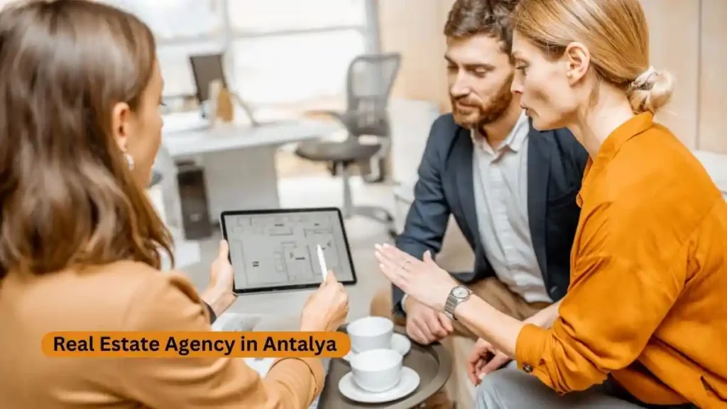 Guided Steps to Selecting the Perfect Real Estate Agency in Antalya